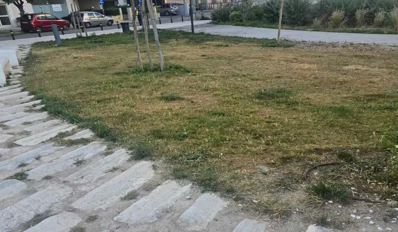 Το πράσινο που έγινε κίτρινο στα Σεπόλια