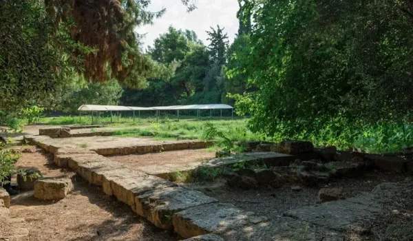 Εκτεθειμένα καλώδια στο πάρκο Ακαδημίας Πλάτωνος